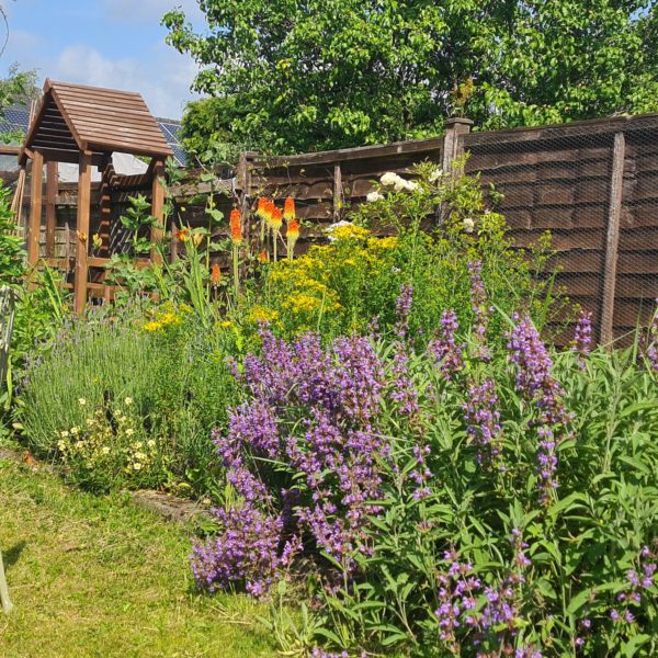 Fully Booked.  August date coming soon. Contact me for the waiting list please 🙏 

Wild Medicine under a Full buck Moon.