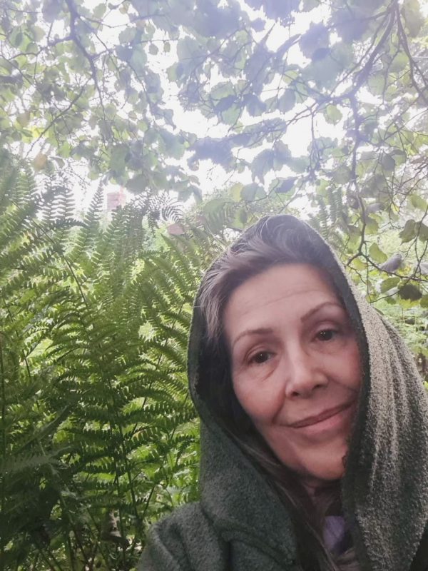 Ancient Wisdom:  A Ferny journey, to the land before time.