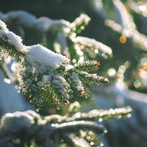Weaving Winter magic -Women's winter gathering Save the date. Sunday 23rd November. Booking open soon.