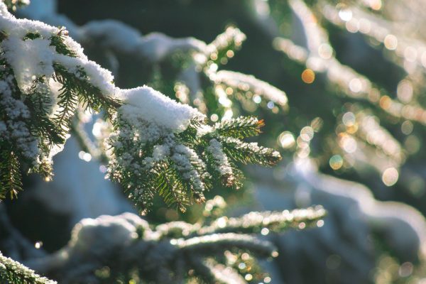 Weaving Winter magic -Women's winter gathering Save the date. Sunday 23rd November. Booking open soon.